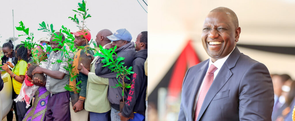 Kenyan president William Ruto and people with tree seedlings.