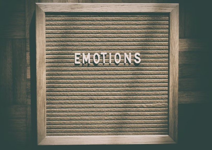 Description of emotions 